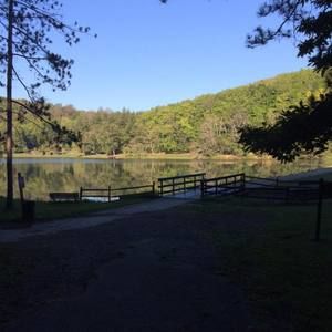 Meet your Posher, Ruth